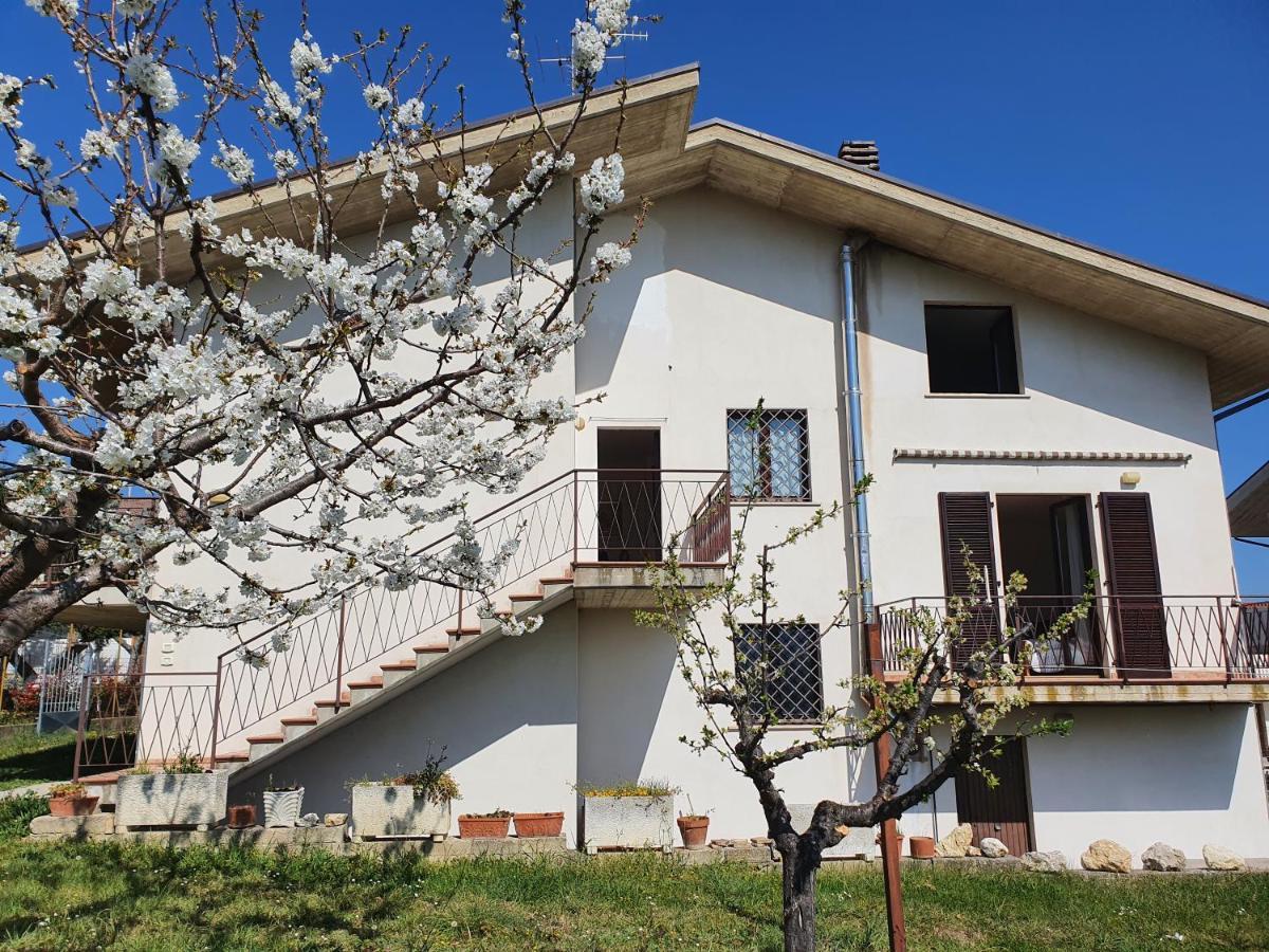 Casa Ciuffina Bed and Breakfast Civitella Casanova Exteriör bild