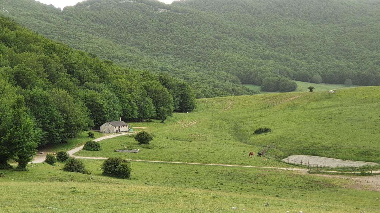 Casa Ciuffina Bed and Breakfast Civitella Casanova Exteriör bild